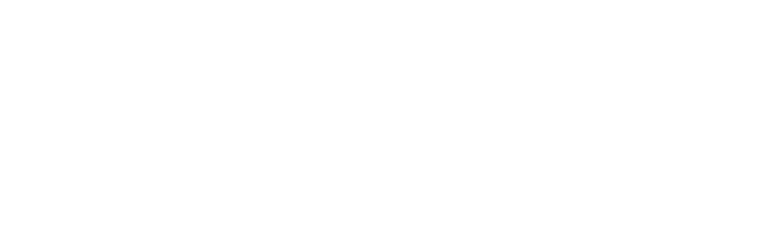 Navy logo